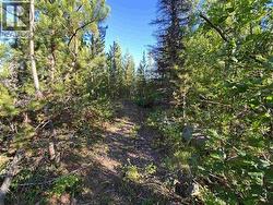 LOT 11 EVERGREEN DRIVE Lone Butte, BC V0K 1X3
