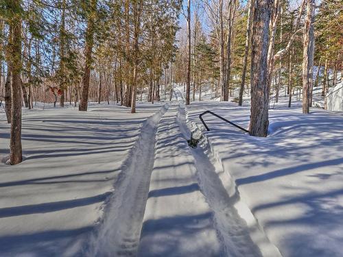 Wooded area - 903 4E Rang E., Sainte-Louise, QC - Outdoor With View