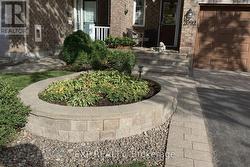 Front Landscaping Summer - 