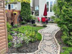 Backyard in the Summer - 