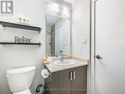 98 Crafter Crescent, Hamilton, ON - Indoor Photo Showing Bathroom