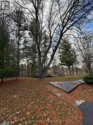 10 Yorkton Boulevard, Markham, ON - Outdoor With View