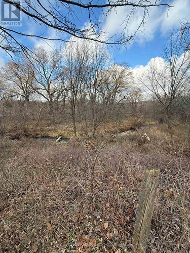 10 Yorkton Boulevard, Markham, ON - Outdoor With View