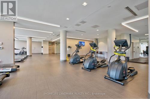 1103 - 32 Forest Manor Road, Toronto, ON - Indoor Photo Showing Gym Room
