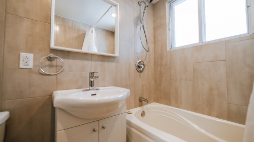 Bathroom - 2-10015 Rue De Lille, Montréal (Ahuntsic-Cartierville), QC - Indoor Photo Showing Bathroom