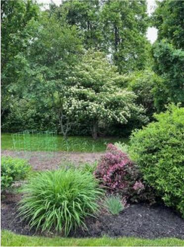 205 Yale Ave, Riverview, NB 