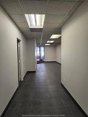 331 Ouellette Avenue, Windsor, ON 