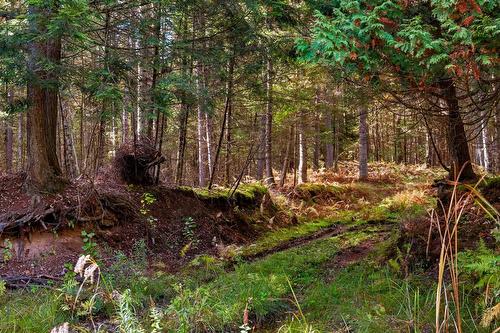 Terre/Terrain - 3150 Ch. Bartlett, Cookshire-Eaton, QC 