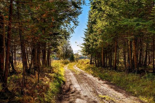 Terre/Terrain - 3150 Ch. Bartlett, Cookshire-Eaton, QC 