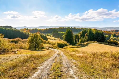 Terre/Terrain - 3150 Ch. Bartlett, Cookshire-Eaton, QC 