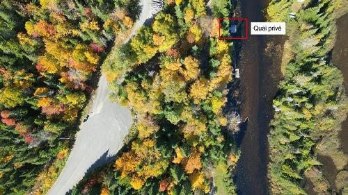 Photo aérienne - 93 Ch. Du Domaine-Ayotte, Saint-Donat, QC - Outdoor With View