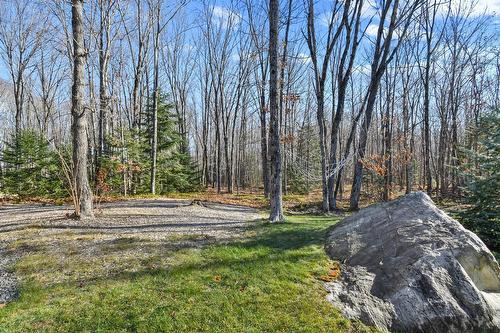 Extérieur - 93 Ch. Du Domaine-Ayotte, Saint-Donat, QC - Outdoor With View