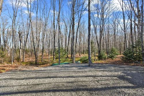 Extérieur - 93 Ch. Du Domaine-Ayotte, Saint-Donat, QC - Outdoor With View