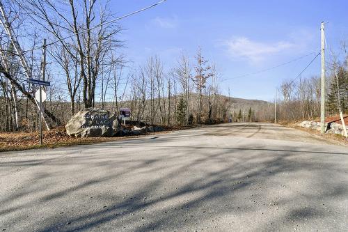 Extérieur - 93 Ch. Du Domaine-Ayotte, Saint-Donat, QC - Outdoor With View