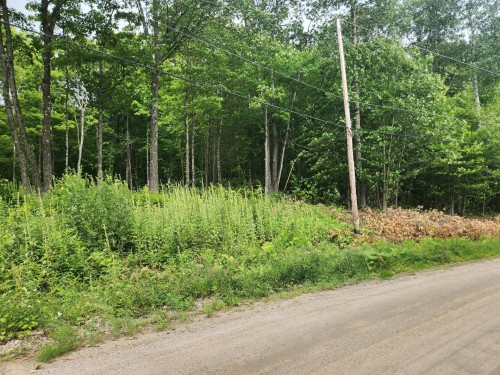 Terre/Terrain - Route 315, Mulgrave-Et-Derry, QC 
