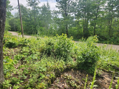 Terre/Terrain - Route 315, Mulgrave-Et-Derry, QC 
