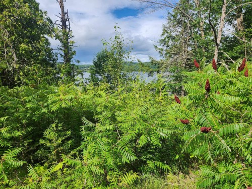 Terre/Terrain - Route 315, Mulgrave-Et-Derry, QC 