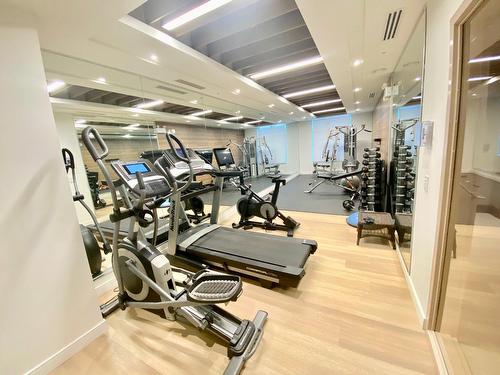 Salle d'exercice - 206-284 Ch. Du Bord-Du-Lac-Lakeshore, Pointe-Claire, QC - Indoor Photo Showing Gym Room