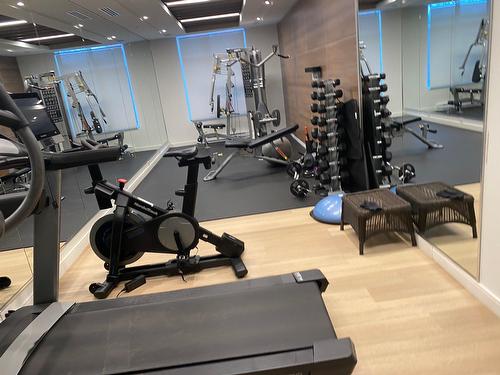 Salle d'exercice - 206-284 Ch. Du Bord-Du-Lac-Lakeshore, Pointe-Claire, QC - Indoor Photo Showing Gym Room