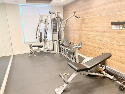 Salle d'exercice - 206-284 Ch. Du Bord-Du-Lac-Lakeshore, Pointe-Claire, QC - Indoor Photo Showing Gym Room