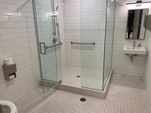 Salle d'exercice - 206-284 Ch. Du Bord-Du-Lac-Lakeshore, Pointe-Claire, QC - Indoor Photo Showing Bathroom