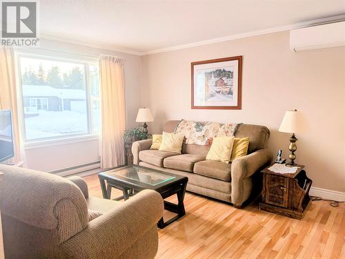 94 Bruce Boulevard, Stephenville, NL - Indoor Photo Showing Living Room