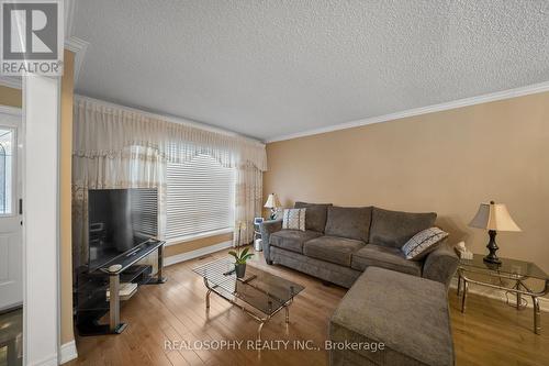 66 Primrose Avenue, Toronto, ON - Indoor Photo Showing Living Room