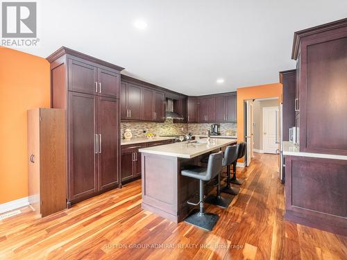 82 Belmont Boulevard, Halton Hills, ON - Indoor Photo Showing Kitchen