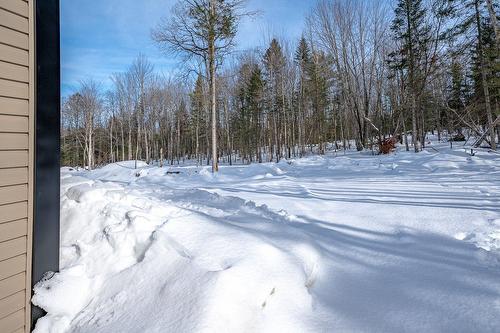 Extérieur - 127 Rue Des Ruisseaux, Val-Des-Sources, QC - Outdoor With View