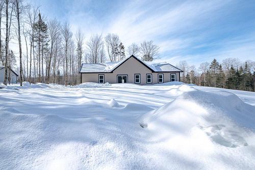 Façade - 127 Rue Des Ruisseaux, Val-Des-Sources, QC - Outdoor