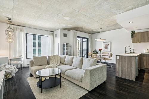 Vue d'ensemble - 1204-1085 Rue Smith, Montréal (Le Sud-Ouest), QC - Indoor Photo Showing Living Room