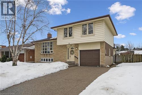 123 Lorraine Avenue, Kitchener, ON - Outdoor