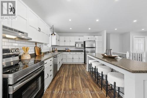 1018 Meadowview Road, Kawartha Lakes (Omemee), ON - Indoor Photo Showing Kitchen With Upgraded Kitchen