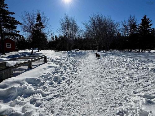 85 Highway 320, Grande Anse, NS 