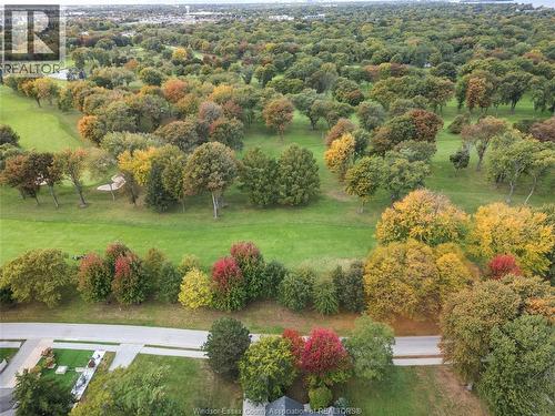 256 Pentilly Road, Tecumseh, ON - Outdoor With View