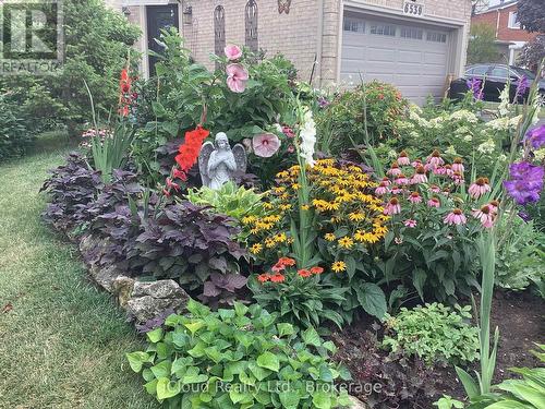 6539 Tripoli Terrace, Mississauga, ON - Outdoor