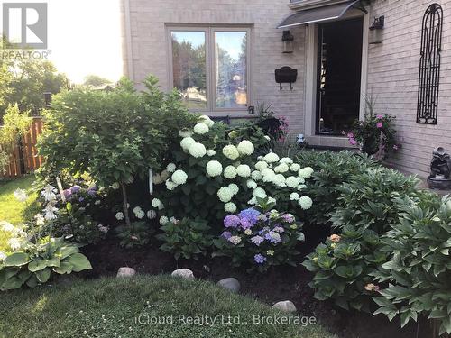 6539 Tripoli Terrace, Mississauga, ON - Outdoor