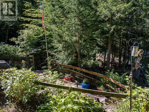 1219 Marathon Drive, Minden Hills (Minden), ON - Outdoor