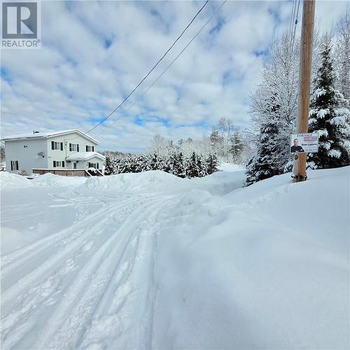 431 Elbow Lake Road, Sudbury, ON - Outdoor