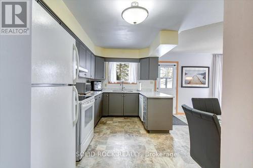 Updated Kitchen - 111 Church Street, Trent Hills, ON - Indoor Photo Showing Kitchen