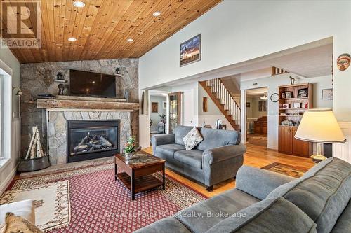 119 Kingston Drive, West Grey, ON - Indoor Photo Showing Living Room With Fireplace