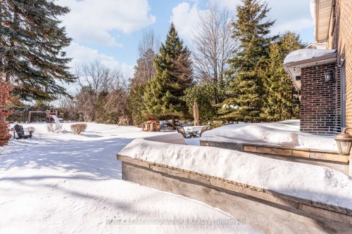 81 Garden Avenue, Richmond Hill, ON - Outdoor