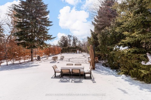 81 Garden Avenue, Richmond Hill, ON - Outdoor With View