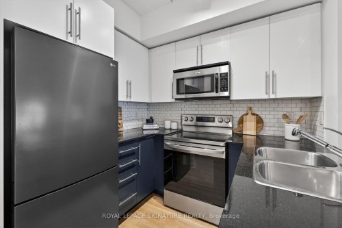 213-1100 Lansdowne Avenue, Toronto, ON - Indoor Photo Showing Kitchen With Double Sink With Upgraded Kitchen