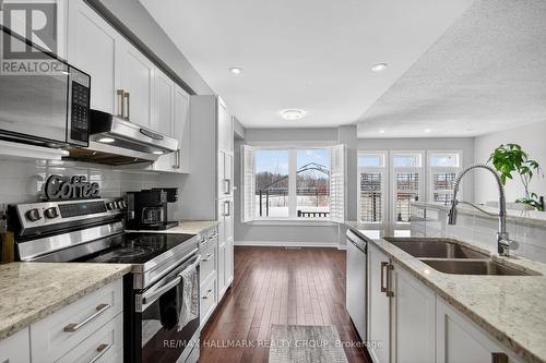 164 Trail Side Circle, Ottawa, ON - Indoor Photo Showing Kitchen With Double Sink With Upgraded Kitchen