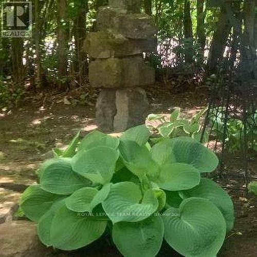 Large Private Perennial Beds - 3322 Cedar Grove Road, Edwardsburgh/Cardinal, ON - Outdoor