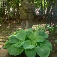 Large Private Perennial Beds - 