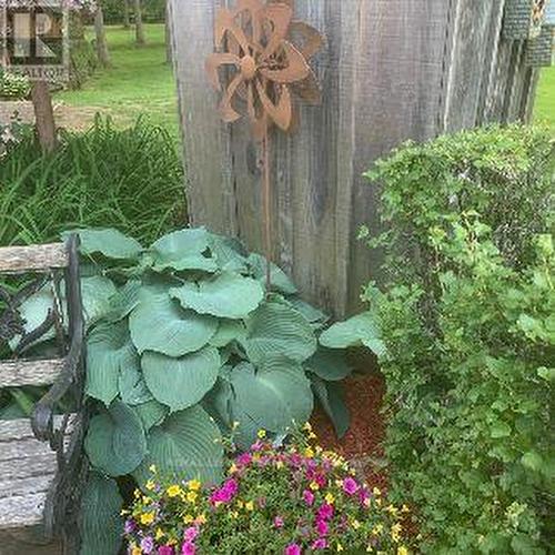 Hostas and Perennial Beds. - 3322 Cedar Grove Road, Edwardsburgh/Cardinal, ON - Outdoor