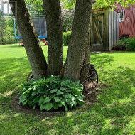 Manicured Perennial Gardens - 