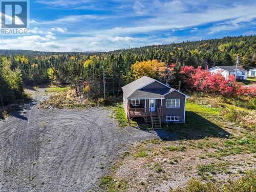 3 Hopkins Road, Brownsdale, NL - Outdoor With View